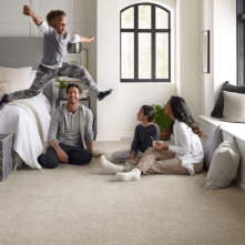 Bellera High Performance Carpet | Flooring By Design