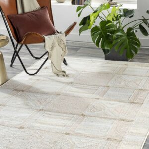 Area rug | Flooring By Design