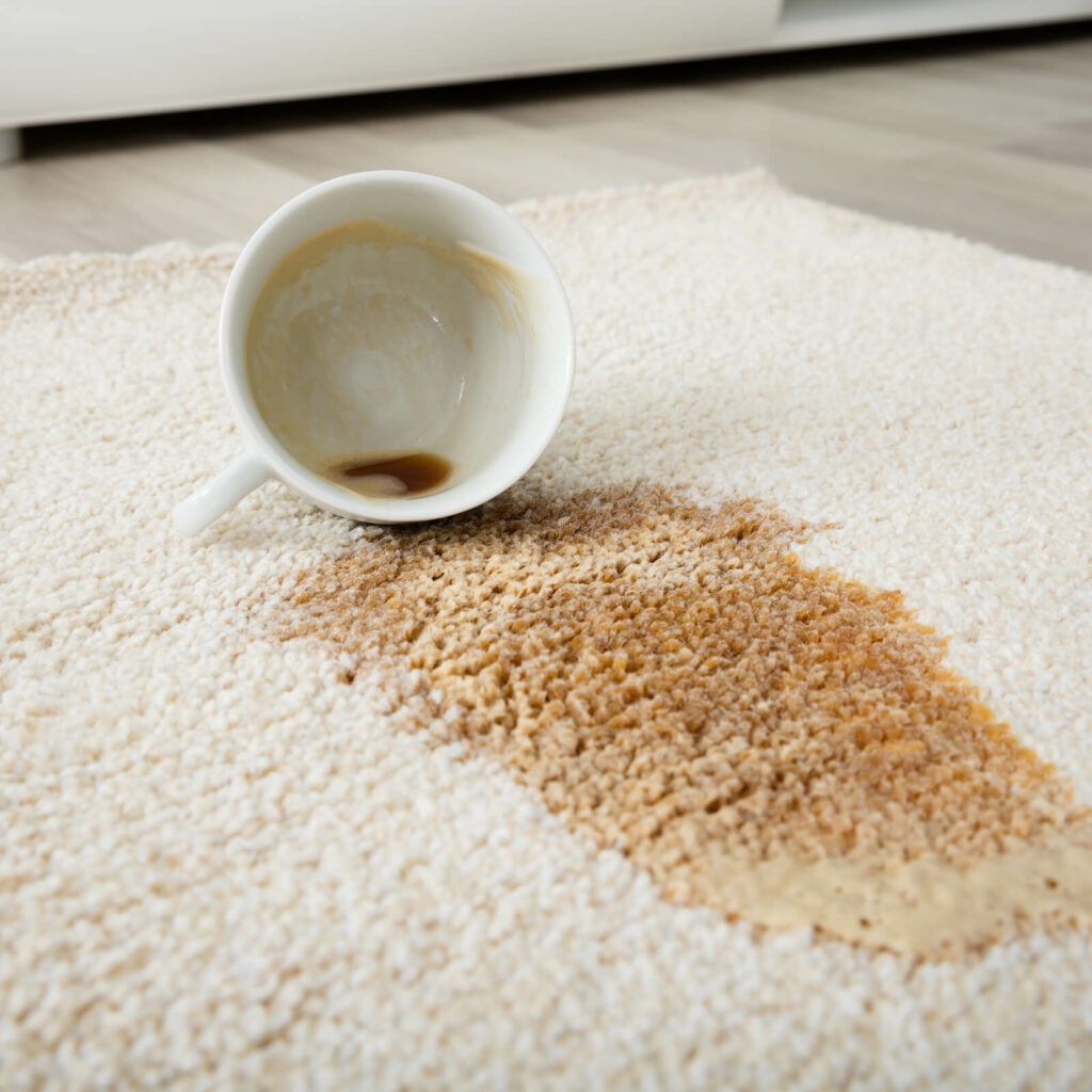 Carpet cleaning | Flooring By Design