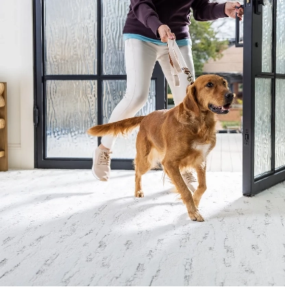 PetPerfect-Carpet-Img01@2x Dog running on carpet | Flooring By Design